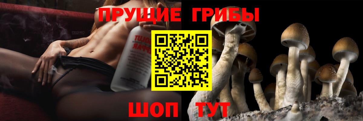 Галлюциногенные грибы Cubensis Нерюнгри